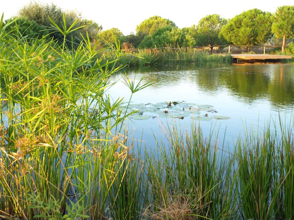 Casa De Campo Vale Do Asno Алтура Екстериор снимка