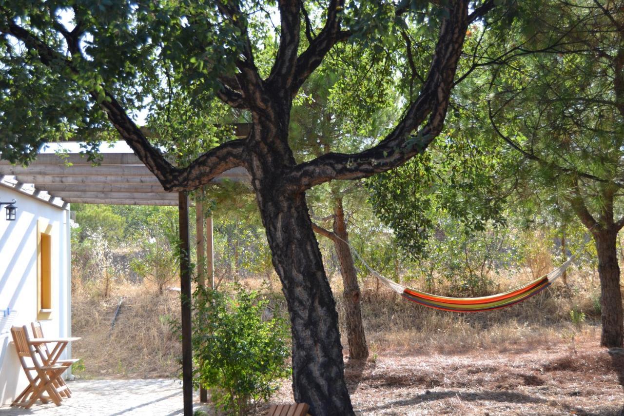 Casa De Campo Vale Do Asno Алтура Екстериор снимка
